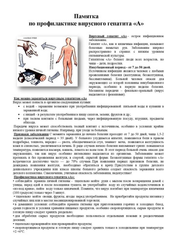 Памятка по профилактике вирусного Гепатита А Памятка по профилактике вирусного Гепатита А.
